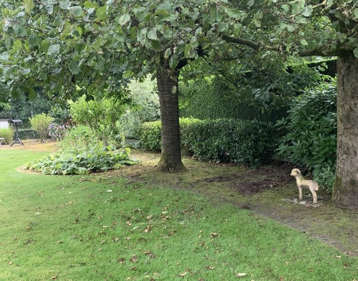 Foto tuin.jpg