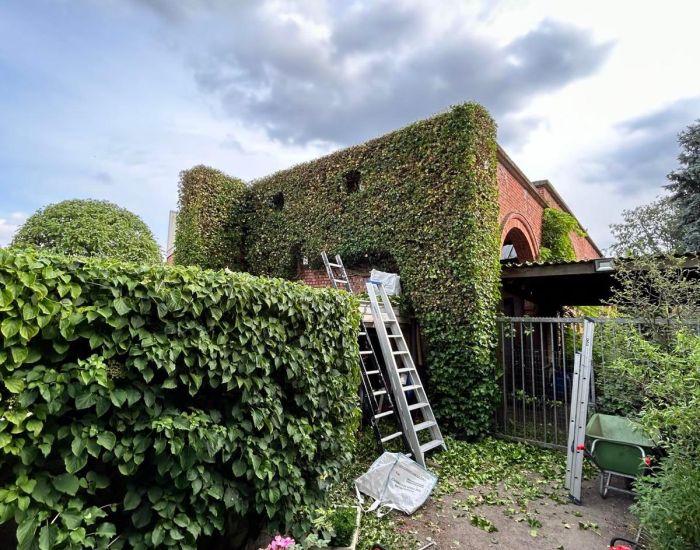 Tuin 2.jpg